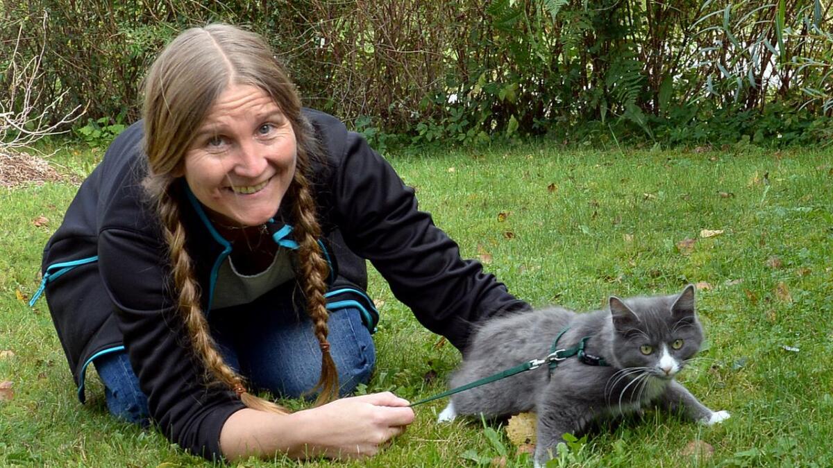Maylinn Gabrielsen i Dyrenes hjelper sier hun får inn svært mange kattunger – ofte alene, noen ganger sammen med sin mor. Hun oppfordrer folk til å bruke bånd på katter til de får retningssans.