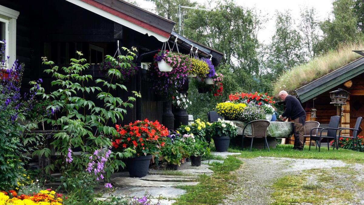 Vestlias hengande hage finn me på Dokklien i Vestlia i Ål, hjå bonde Geir Wengård.