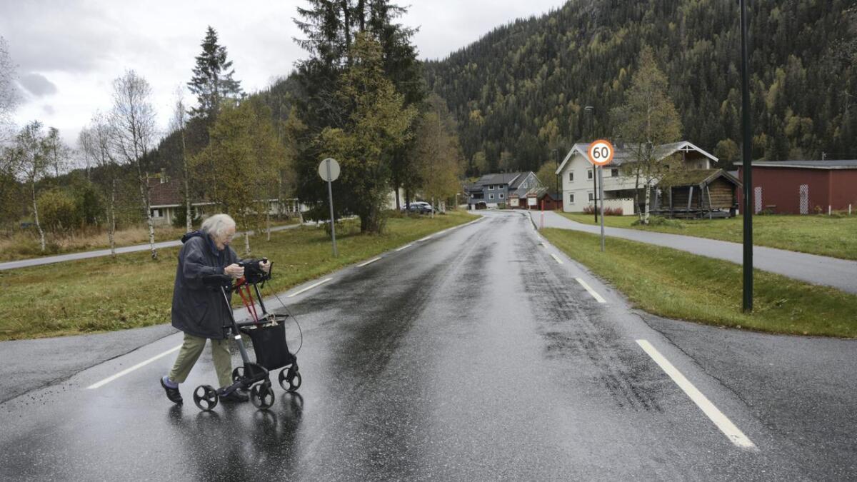 Den spreke 95-åringen Ingeborg Dybdahl kryssar dagleg fylkesveg 503. Ho vil gjerne ha på plass fotgjengarfelt mellom Steinmoen bu- og servicesenter og gangvegen ho brukar til å gå tur.