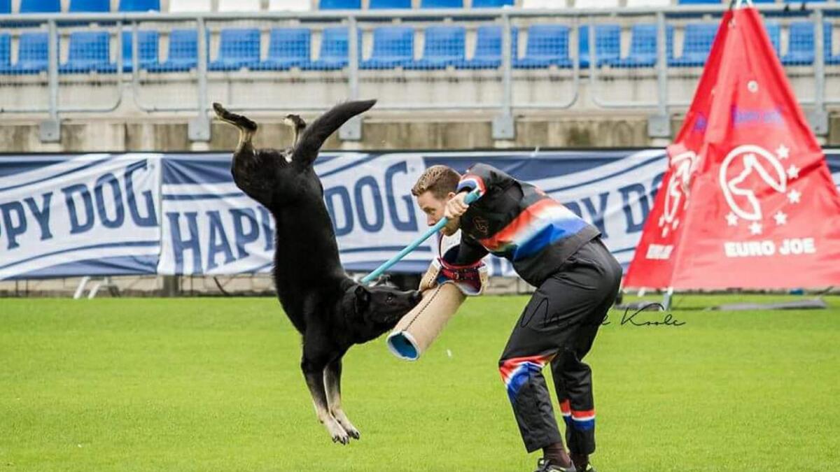 Hunden Haydn VM-debuterte i Nederland sist veke.