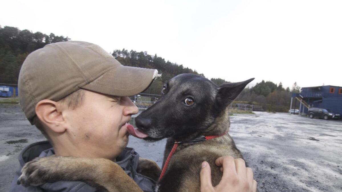 Jonas Riise Johansen har eit nært forhold til hundar, her saman med Viggo, som er ein av tre hundar i krefthundprosjektet på Fjellanger Hundesenter.