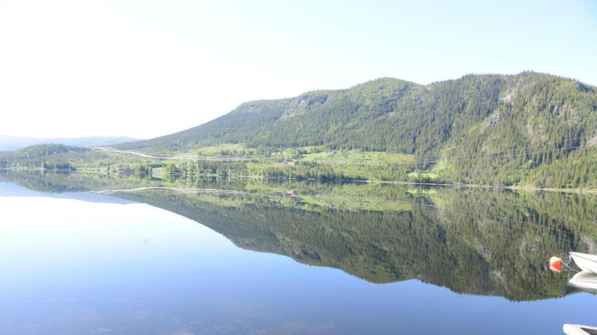 Holsfjorden fiskesameige har brukt mykje ressursar på å kartlegge fisket og vasskvaliteten.