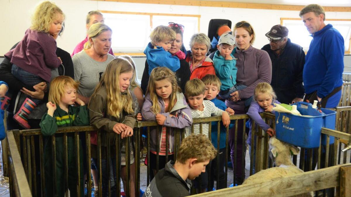 LIVE biologitime for både små og store. 14 år gamle Henning Smøttebråten har lemmingsvakt og er alt ein erfaren bonde på mange måtar.
