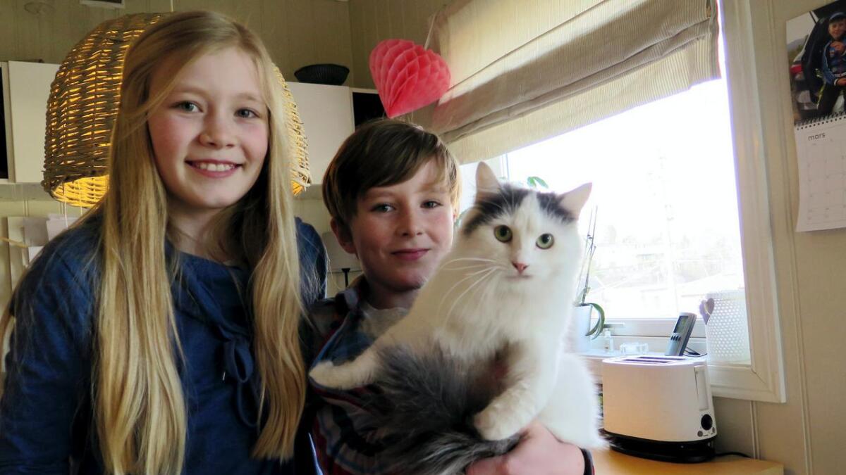 Marie (12) og Andreas (11) adopterte katten som før het Sandra. Nå heter den Melis og er godt fornøyd i sin nye familie på Vestre Nedenes i Arendal.