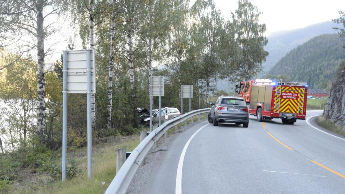 Ein mann frå Oslo omkom i ei utforkøyring på Rv7 ved Liodden i Nes tysdag ettermiddag.
