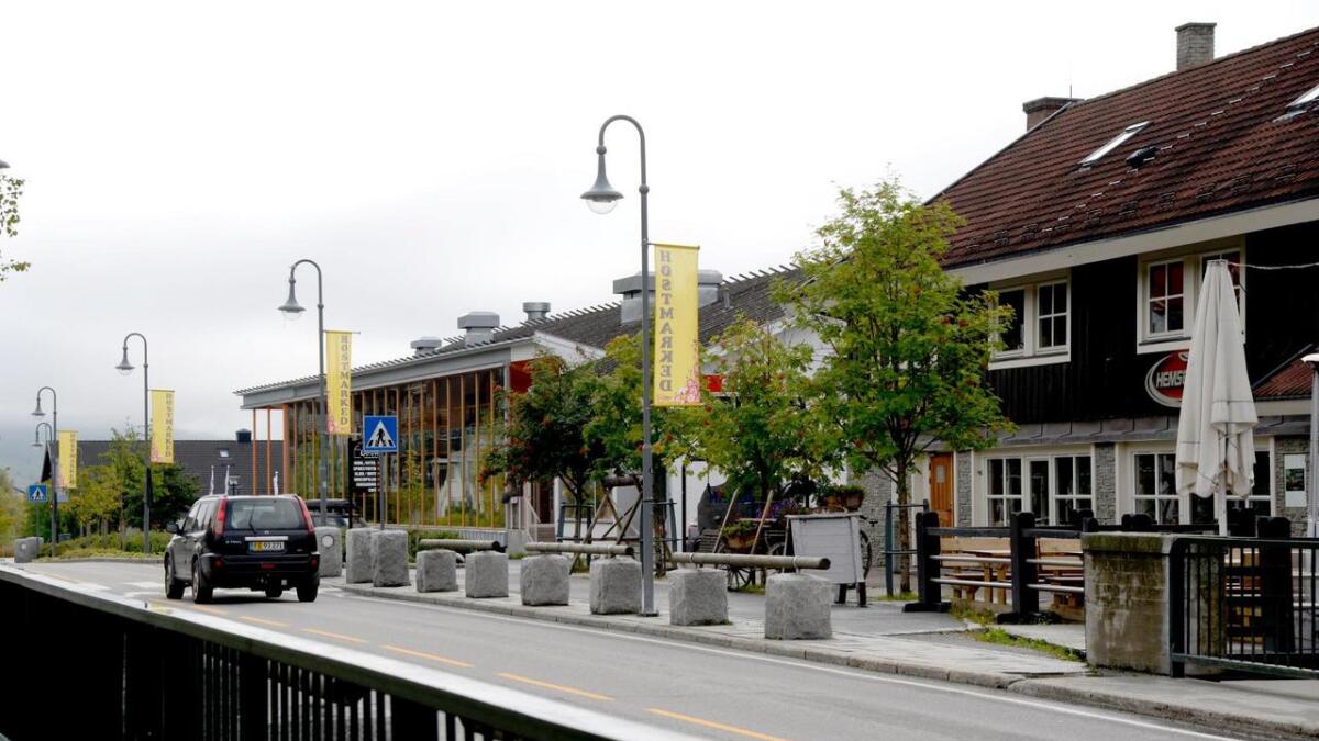 Hemsedal Venstre mener kommunen må tenke nytt for å skape mer liv i Trøym sentrum.