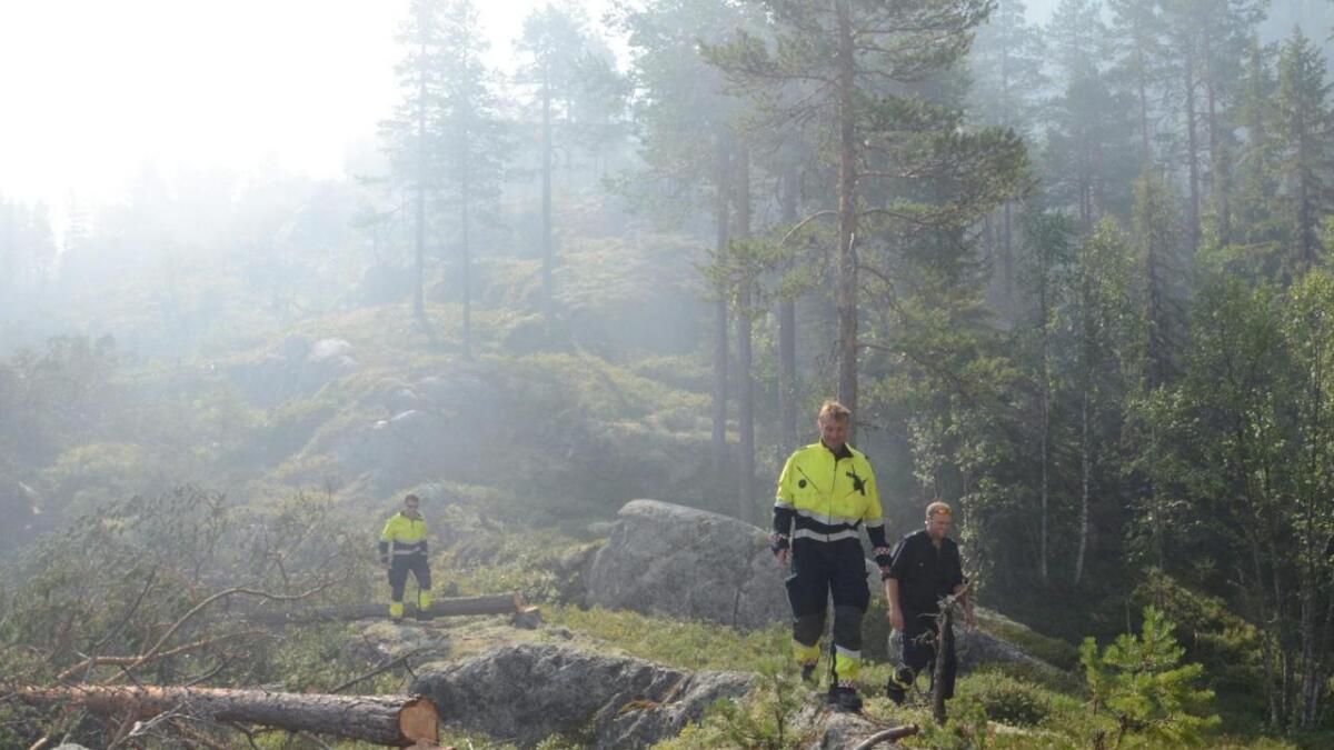 Sommaren 2014 brann det i skogen i Beia, ovanfor Nesbyen. Både lokale brannmannskap og mannskap frå andre stader kjempa mot flammane i over ei veke. I år har Hallingdal blitt spart for store operasjonar, trass den ekstreme skogbrannfaren.