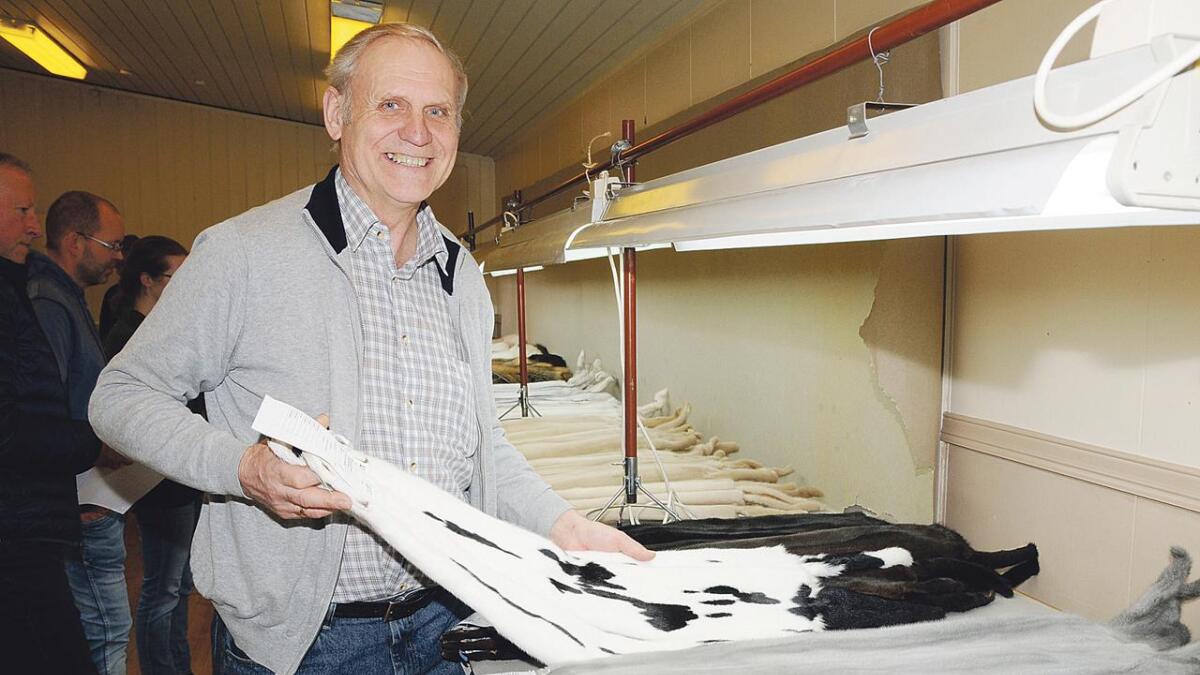 Nokså nyleg leverte Olav Arne Sønderland for siste gong minkskinn til ei utstilling. Han har hatt mykje moro i yrket som har gjeve inntekter i 45 år.