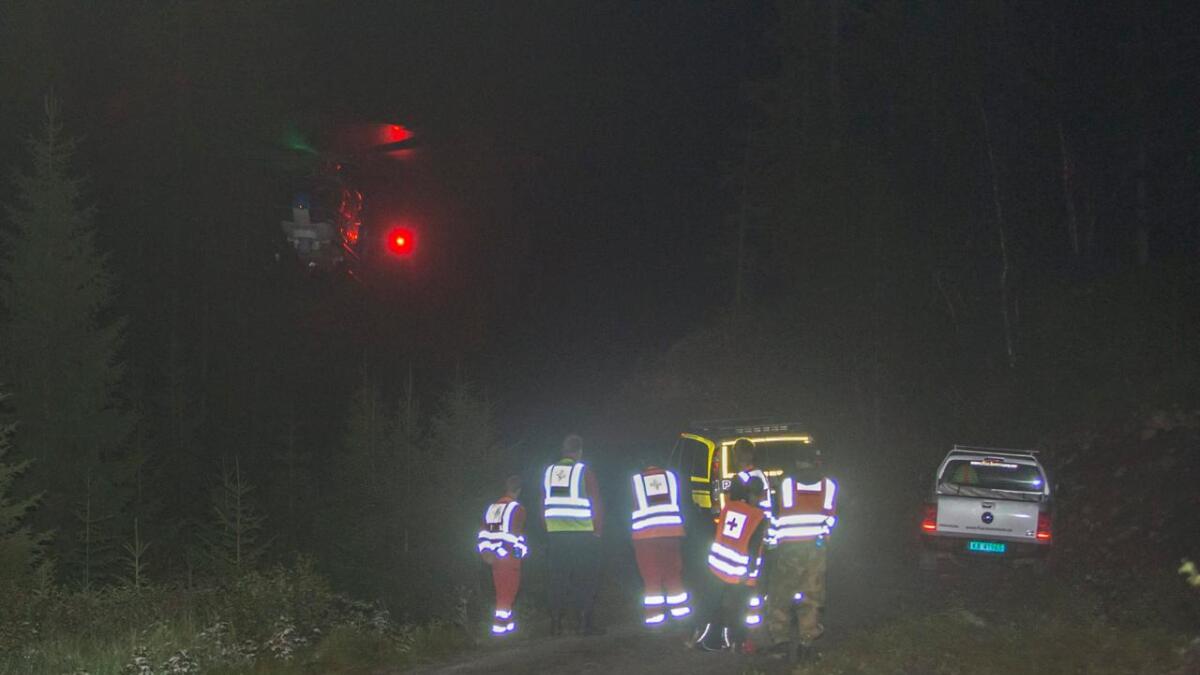 Ein person omkom då eit fly styrta på grensa mellom Hallingdal og Valdres.