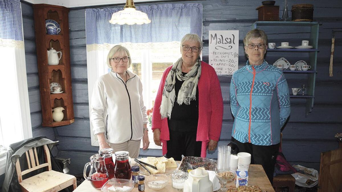 Gudny Lid Unhjem (t.v), Inger Breiseth og Sigrunn Volhovd stod for serveringa på Øyfjelldagen. Dei hadde laga fem store kjelar med feitegraut, og serverte kling, kaker og kaffi.