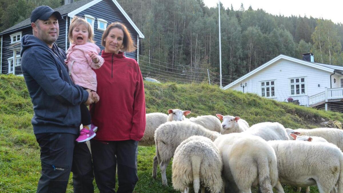 Frode Skaret og Yvonne Seppola, her med dottera Maya på snart to år, fekk eit ugløymelig møte med ulven.