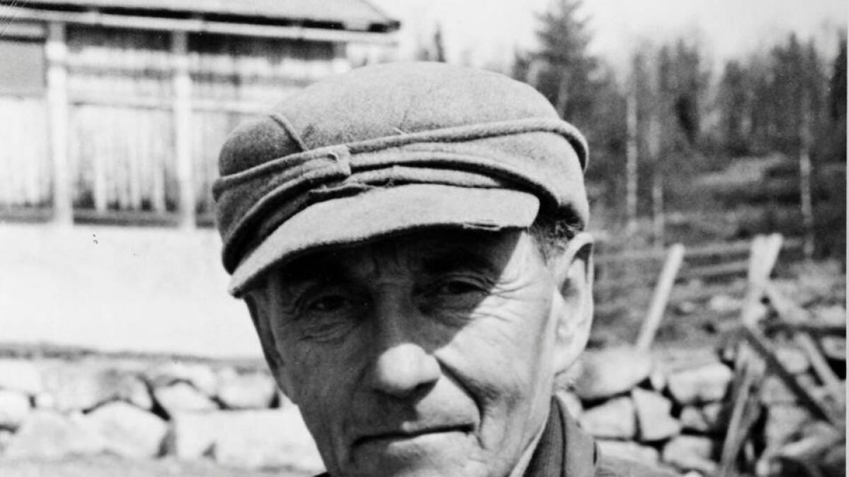 Henrik Brun kasta seg over saueavl etter krigen. Han likte seg i fjellet og dreiv som gjetar på Hardangervidda, samstundes som han registrerte fjellplanter. Biletet er frå 1952.