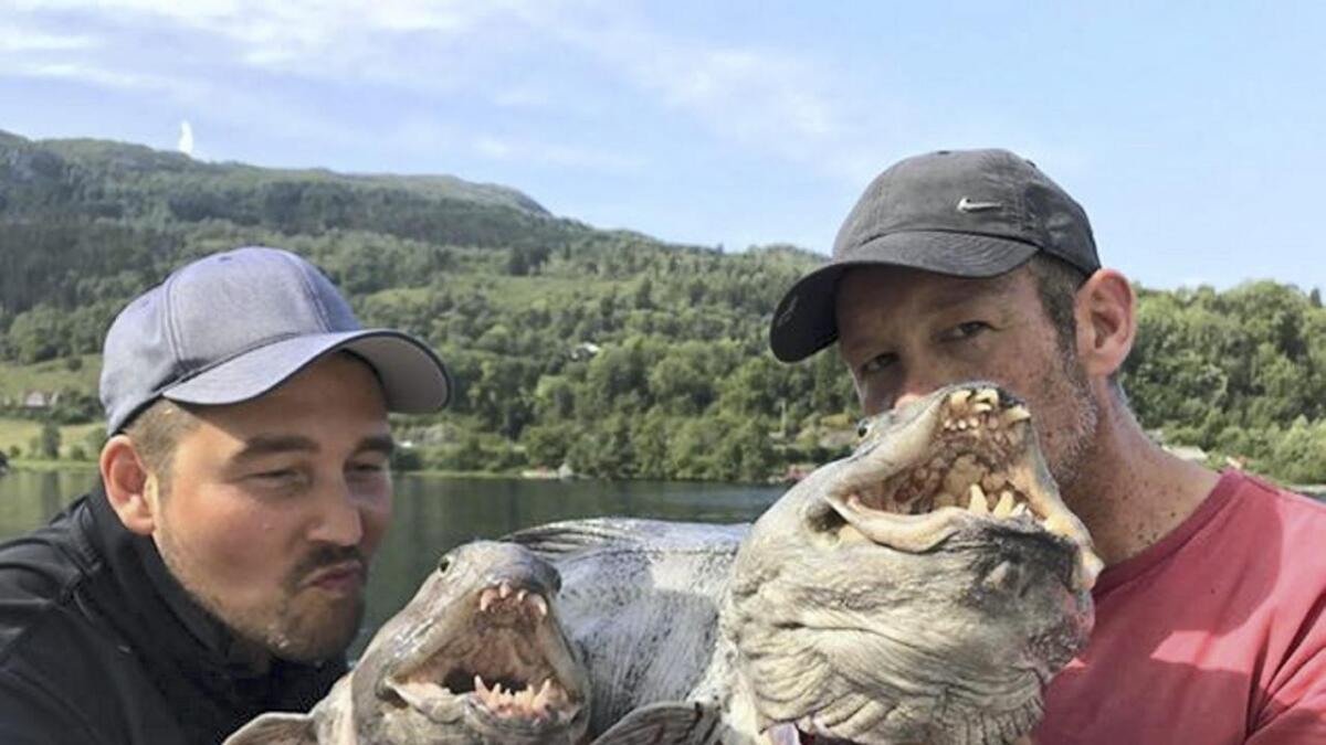 Jon Asbjørnsen og Fredrik Langeland hadde med seg borna i båten då dei drog opp desse to monstera.